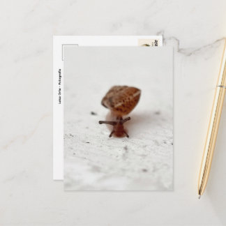 Cartão Postal Kleine Reise – Schnecke auf hellem Grund
