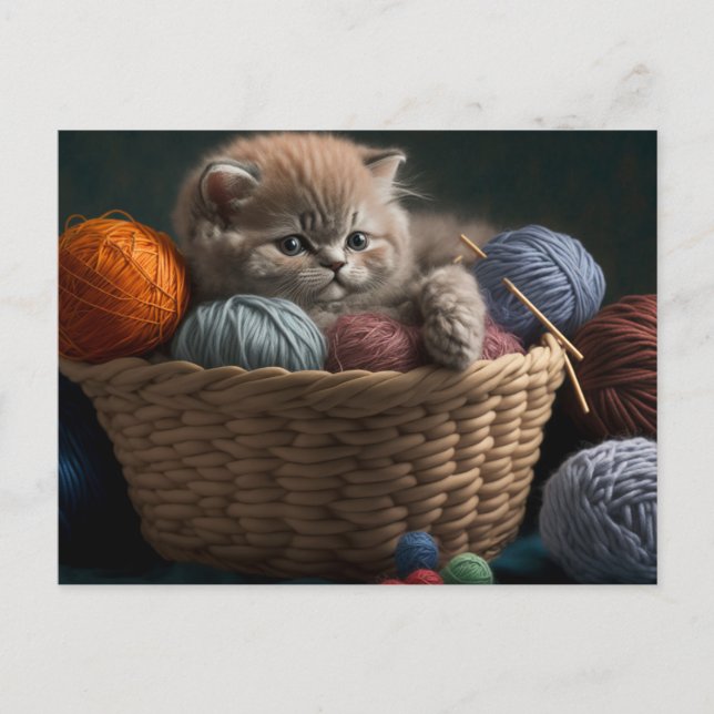 Cartão Postal Knitting cat postcard (Frente)