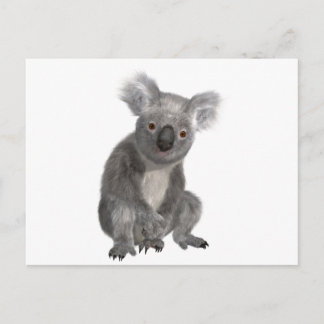 Cartão Postal Koala