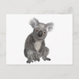Cartão Postal Koala