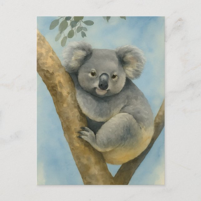 Cartão Postal Koala Calm - Watercolor Willife (Frente)