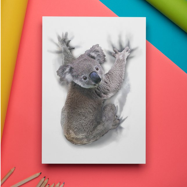 Cartão Postal Koala Hang No Urso Cóctil Traseiro Da Austrália (Criador carregado)