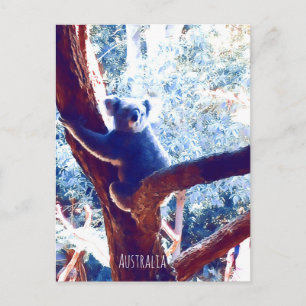 Cartão Postal Koala na Austrália