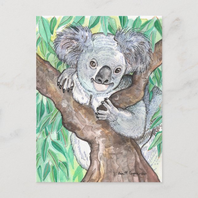 Cartão Postal Koala na pintura em árvore de Eucalyptus (Frente)