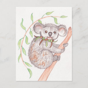 Cartão Postal Koala no Ramificação da Árvore