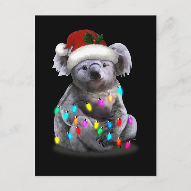 Cartão Postal Koala Sentada Com Luzes De Natal (Frente)
