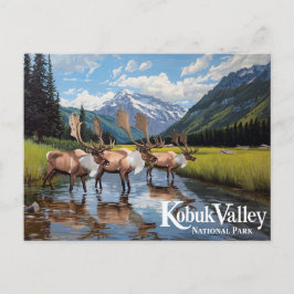 Cartão Postal Kobuk Valley Caribou Herd Alaska Art