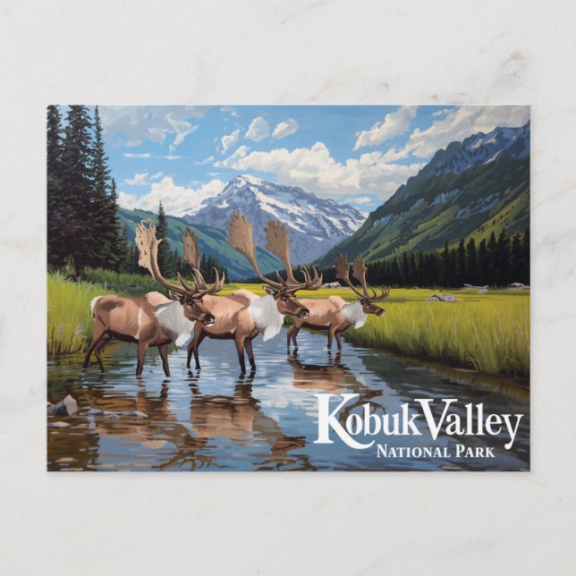 Cartão Postal Kobuk Valley Caribou Herd Alaska Art (Frente)