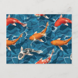 Cartão postal Koi Carp