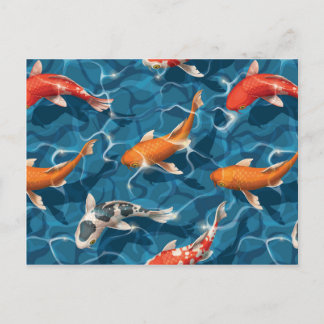 Cartão postal Koi Carp