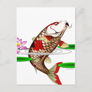 Cartão Postal Koi Fish Carp Water Lily