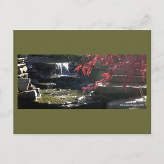 Cartão Postal Koi Pond no HFSC