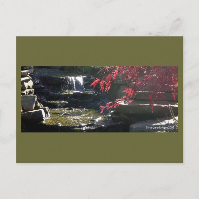 Cartão Postal Koi Pond no HFSC (Frente)