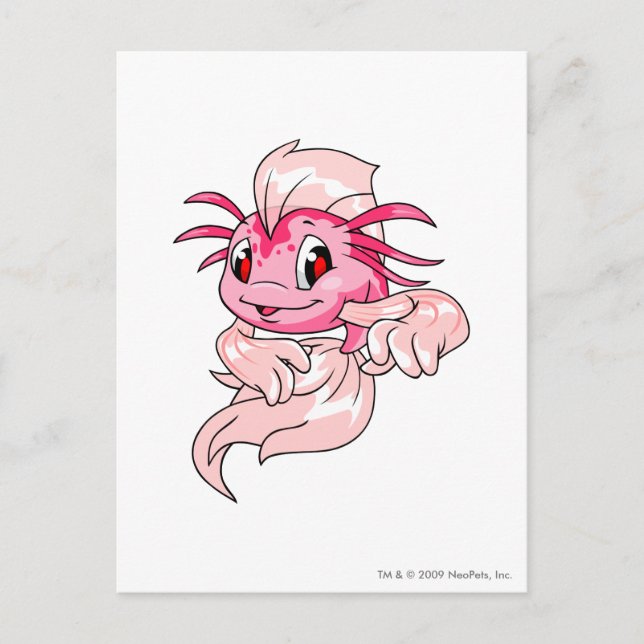 Cartão Postal Koi Rosa (Frente)