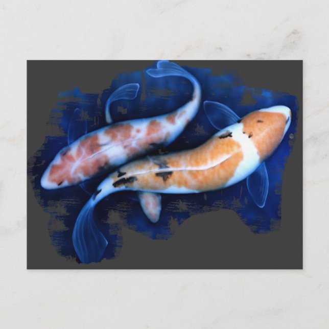 Cartão Postal Koi Tango (Frente)