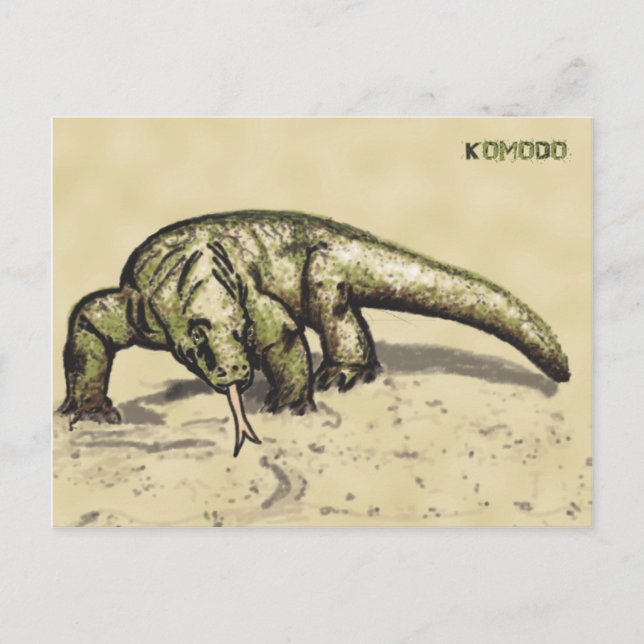Cartão Postal Komodo (Frente)