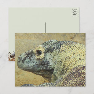 Cartão Postal Komodo Dragon