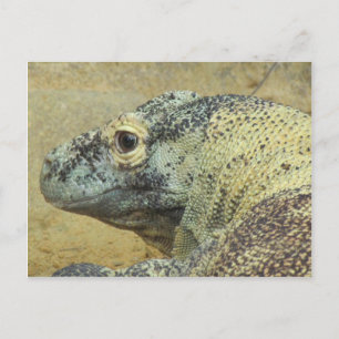 Cartão Postal Komodo Dragon