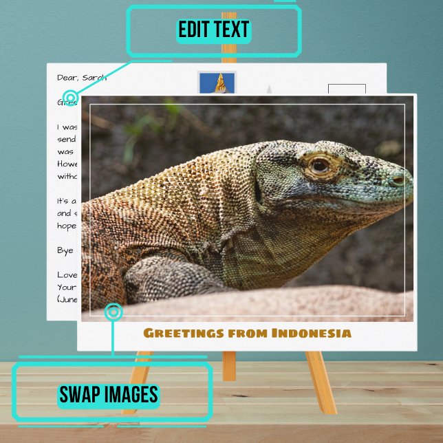 Cartão Postal Komodo Dragon da Indonésia Moderna (Share your experiences with these stylish template postcards.)