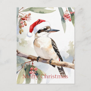 Cartão Postal Kookaburra australiano chapéu de Papai Noel Natal 
