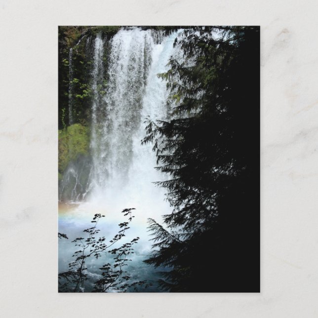 Cartão Postal Koosah Falls Oregon Waterfall Postcard (Frente)