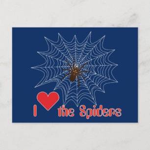 Cartão Postal Kreuzspinne im Netz