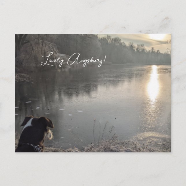 Cartão Postal Kuhsee am Morgen mit Hund in Augsburg (Frente)