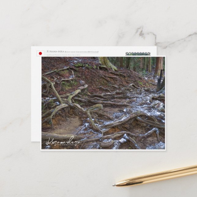 Cartão Postal Kurama-dera (Kinone-michi tree roots road) ポストカード (Frente/Verso In Situ)
