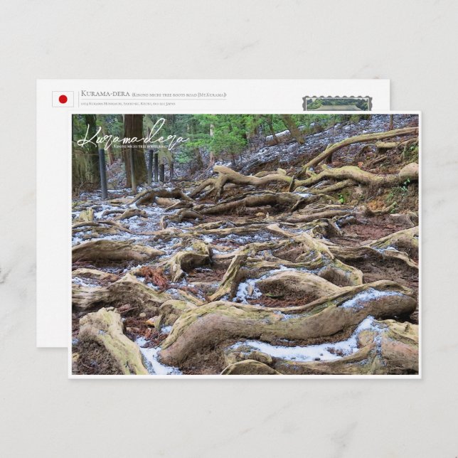 Cartão Postal Kurama-dera (Kinone-michi tree roots road) ポストカード (Frente/Verso)