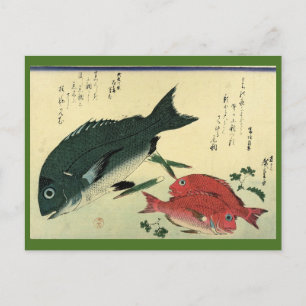Cartão Postal Kurodai & Akadai - Gravura Japonesa de Peixes de H