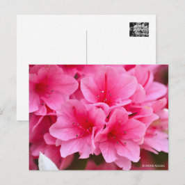Cartão Postal Kurume Azalea