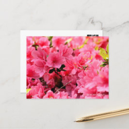 Cartão Postal Kurume Azalea