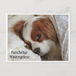 Cartão Postal Kuschelige Wintergrüsse