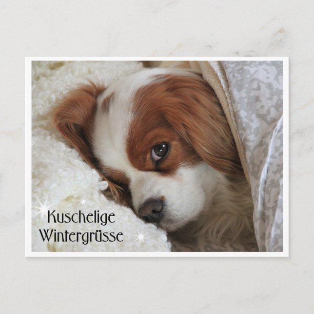 Cartão Postal Kuschelige Wintergrüsse (Frente)