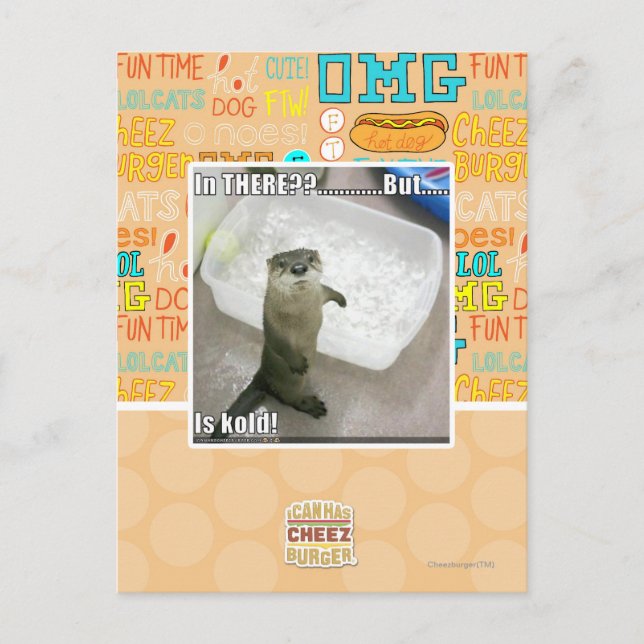 Cartão Postal Lá dentro? É o Kold! (Frente)