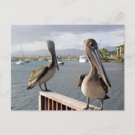 Cartão Postal La Guancha en Ponce