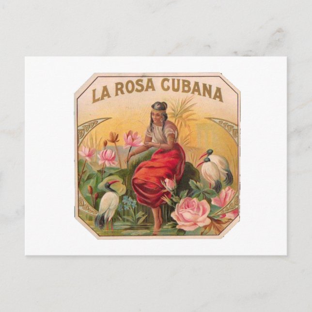 Cartão Postal La Rosa Cubana Diseño Vintage Cuba (Frente)