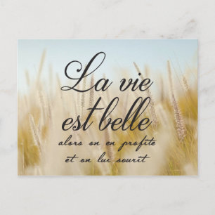 Cartão Postal La vie est belle