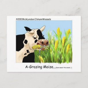 Cartão Postal Labirinto Azedo Vaca Engraçada Presentes de Desenh