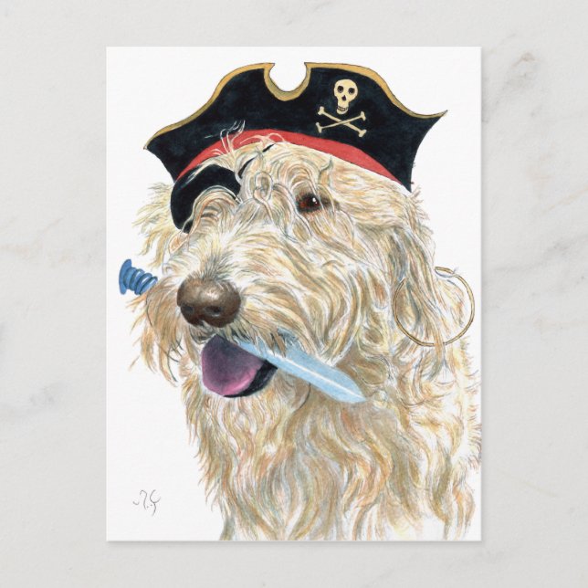 Cartão Postal Labradoodle Creme Pirata (Frente)