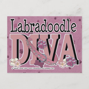 Cartão Postal LabraDoodle DIVA