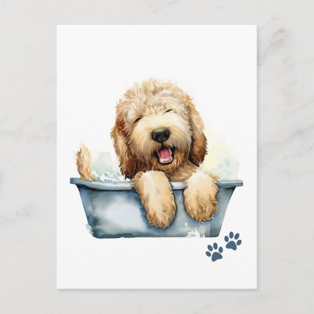 Cartão Postal Labradoodle Dog (Frente)