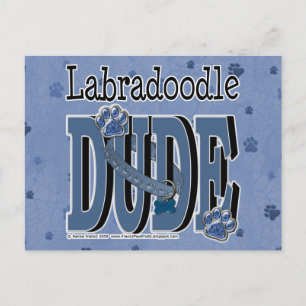 Cartão Postal LabraDoodle DUDE