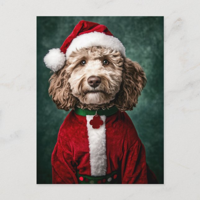 Cartão Postal Labradoodle em Festas de Natal Festivas (Frente)