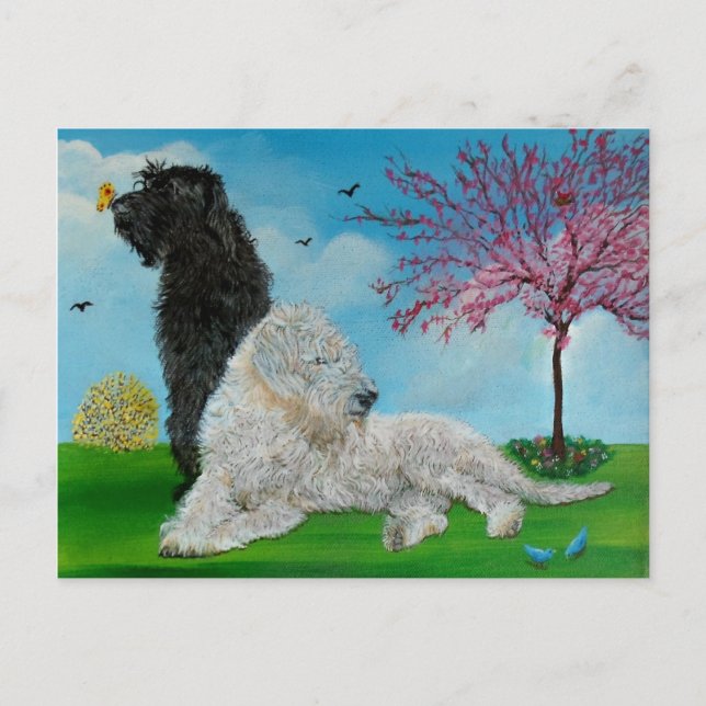 Cartão Postal Labradoodle Primavera (Frente)
