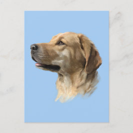 Cartão Postal Labrador