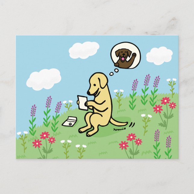 Cartão Postal Labrador Amarelo e Carta de um Amigo (Frente)