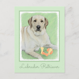 Cartão Postal Labrador Amarelo - Impressão de Retriever e Tênis