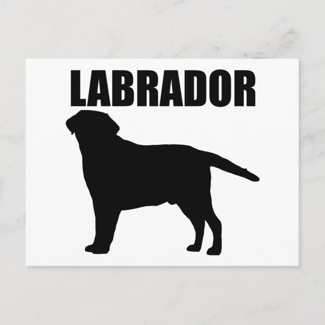 Cartão Postal Labrador Dons! (Frente)