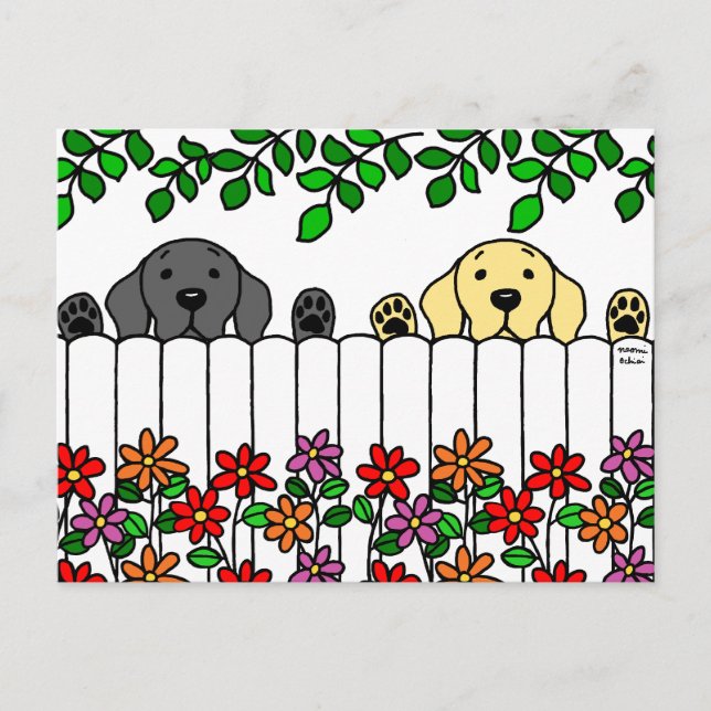 Cartão Postal Labrador Duo te observando (Frente)